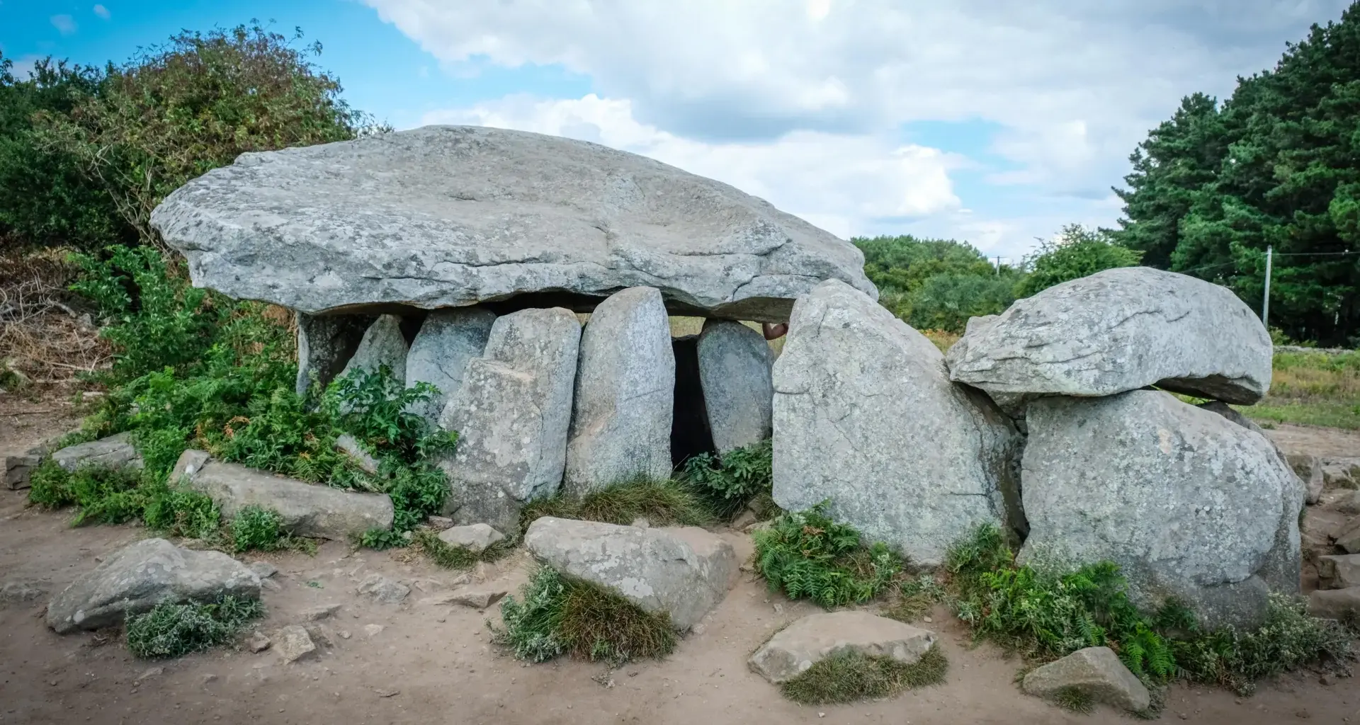 Ancient DNA reveals a lost population near Paris replaced by strangers