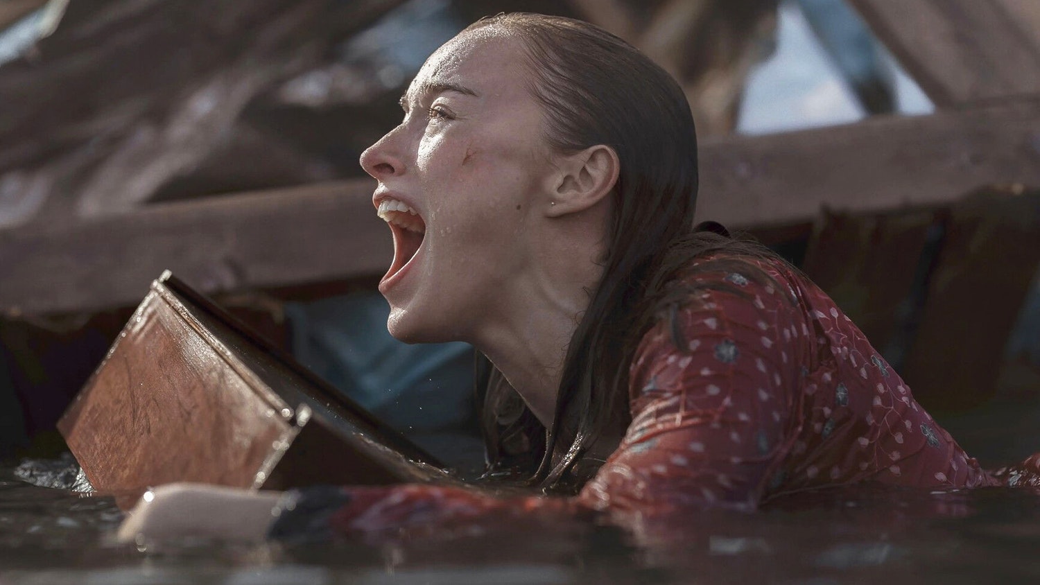 Thrash Review – 'Watered-down chum'