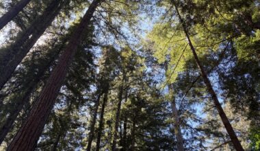 10 Gems of Bluesky Today