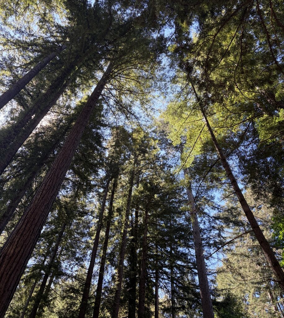 10 Gems of Bluesky Today