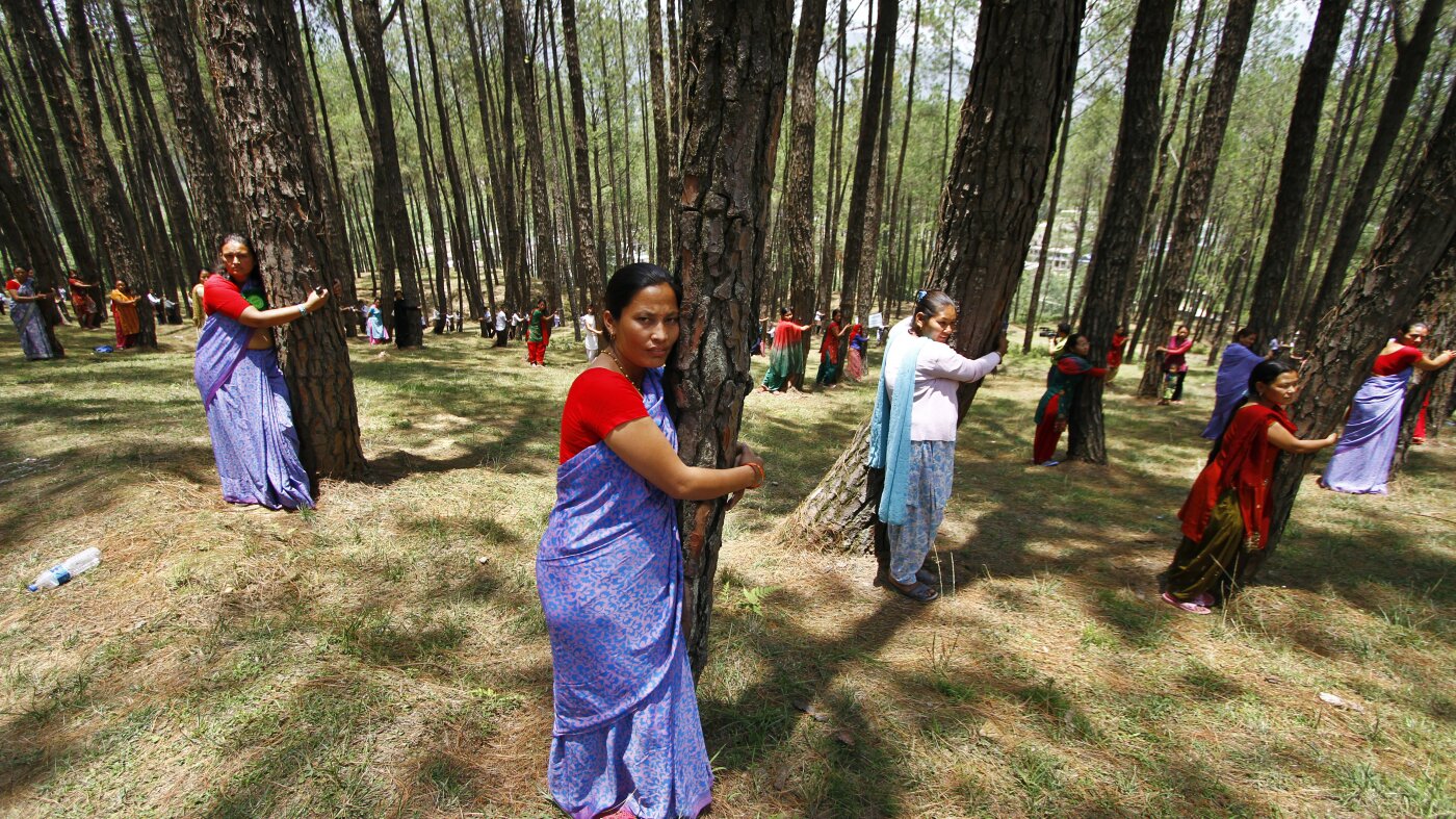 On Earth Day, learn the history behind the 'tree-hugger' : NPR