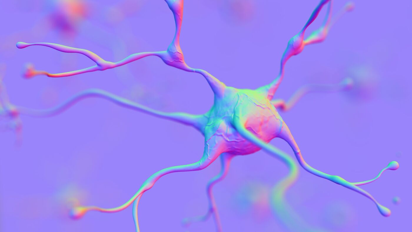 A new approach to brain health, one neuron at a time : Short Wave : NPR