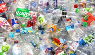 Why the oil and gas industries are invested in plastic success : Short Wave : NPR