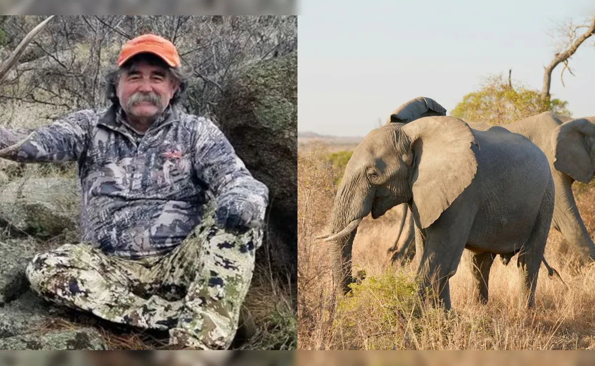 US Millionaire Killed By Elephant Herd While Hunting Antelope In African Jungle