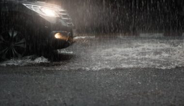 Could moss help Irish roads deal with heavy rain?