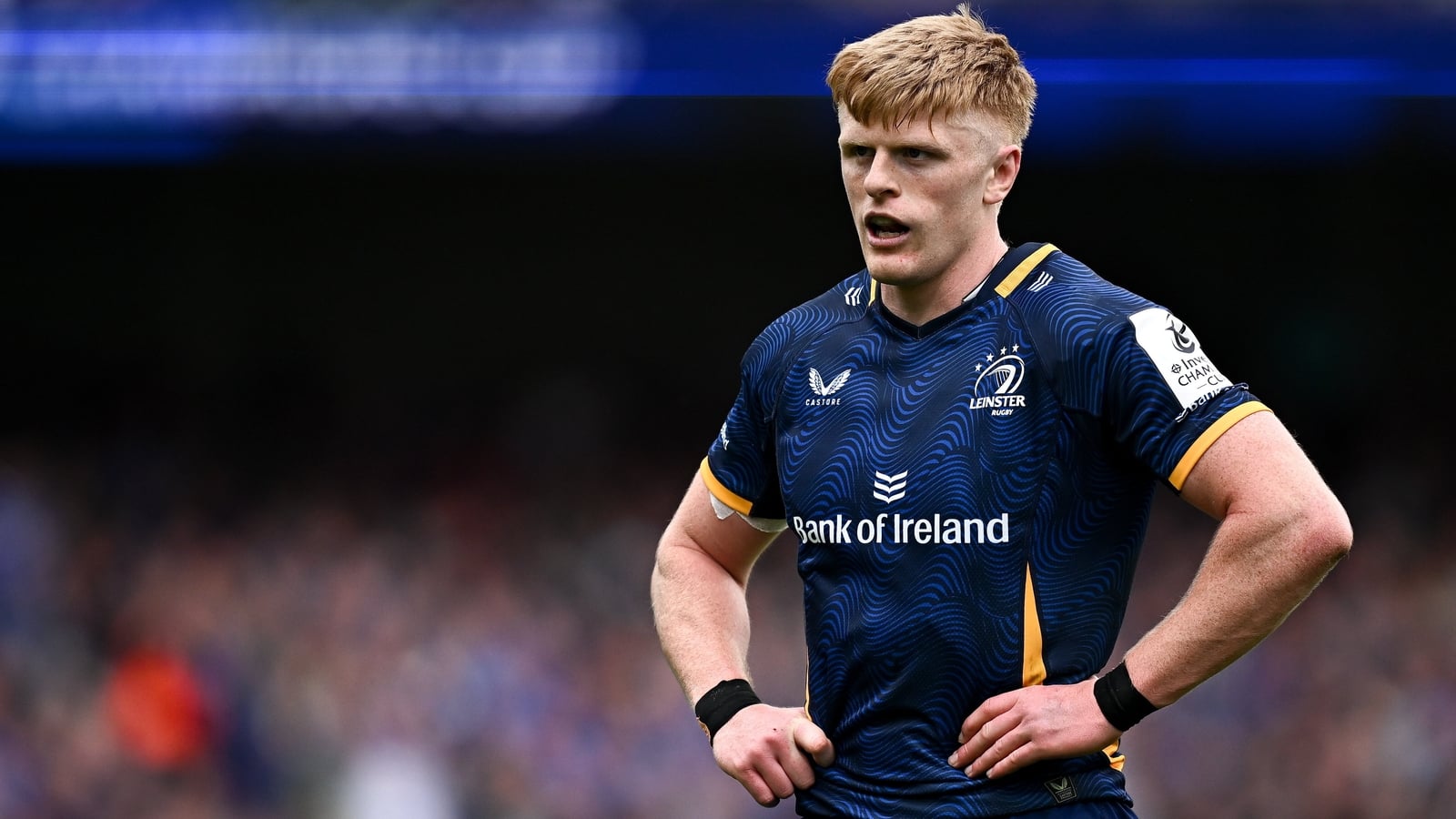 O'Brien the major injury doubt for Leinster's euro final