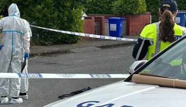 Man, 30s, in critical condition after assault in Cork