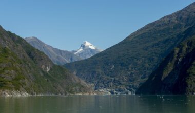 2025 tsunami in Alaska fjord second-highest on record