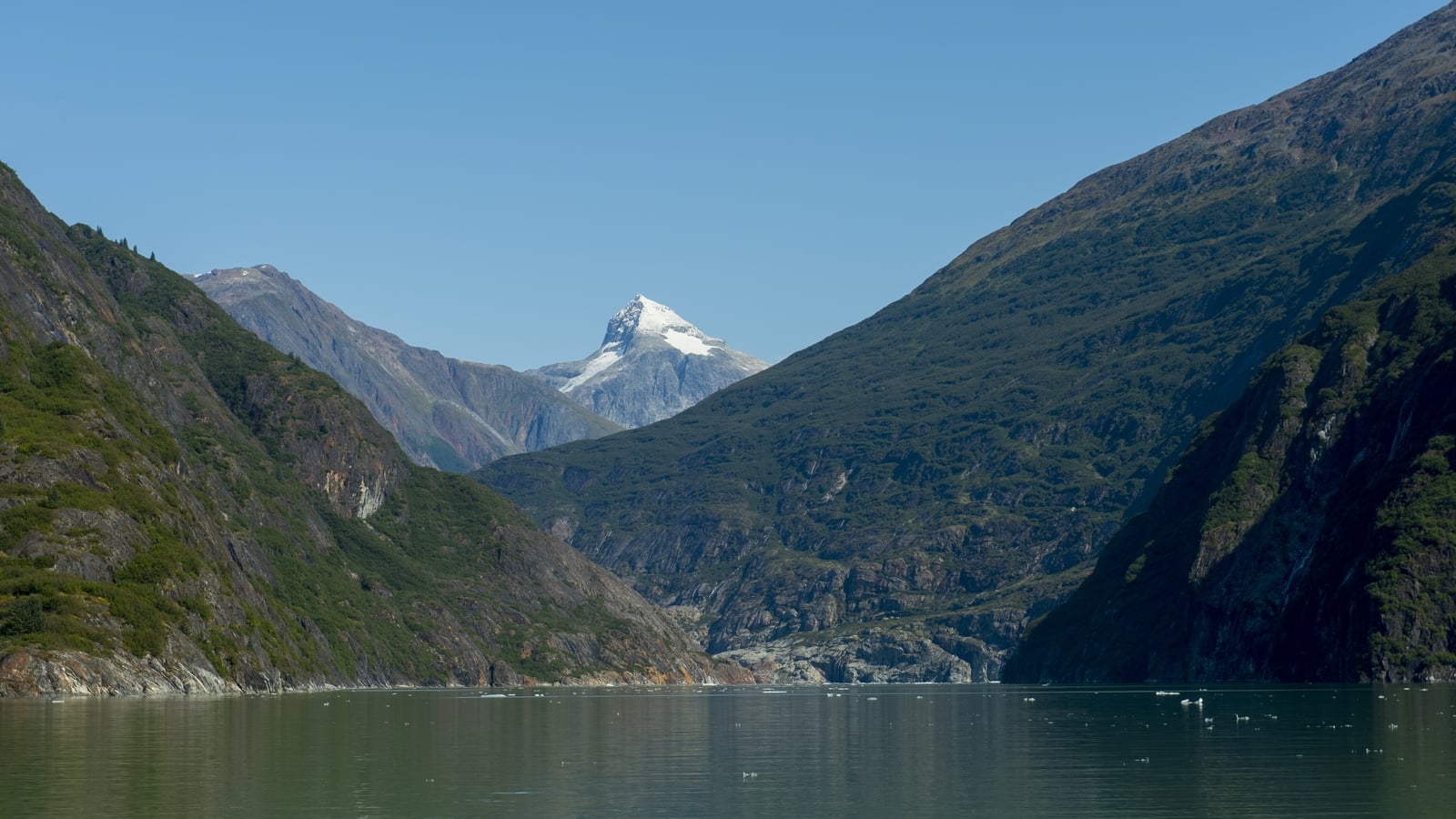 2025 tsunami in Alaska fjord second-highest on record