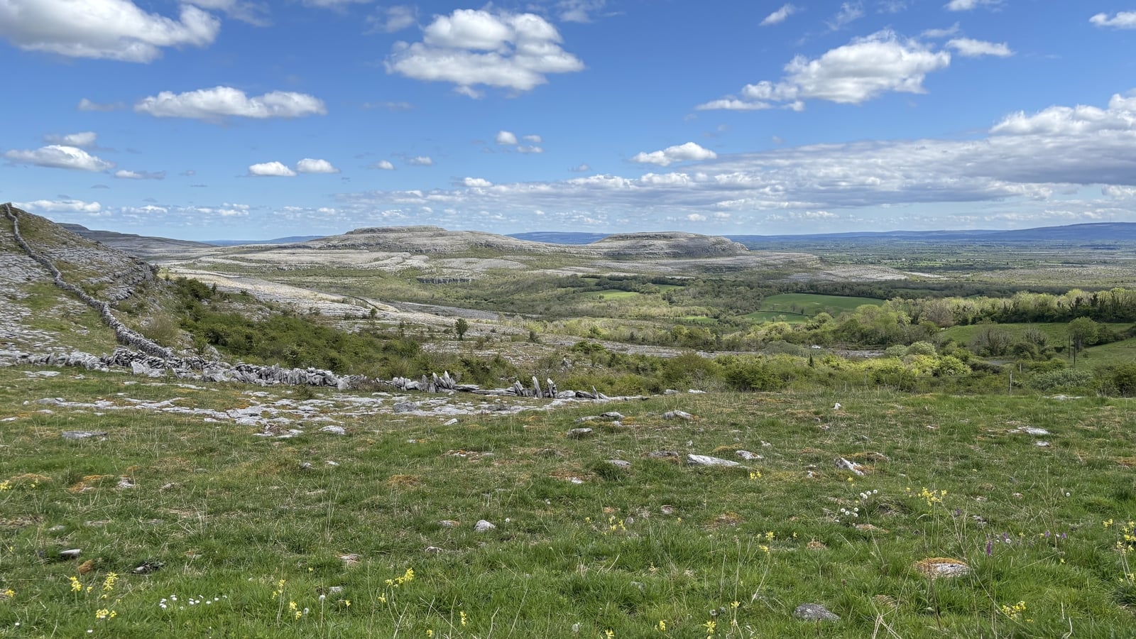 Burren biodiversity project rolled out across 15 counties