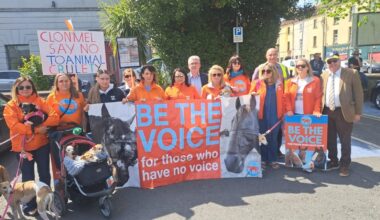 Hundreds peaceful protest for animal welfare in Tipperary