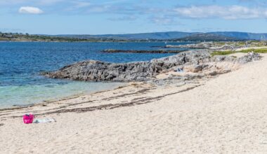 Water quality at bathing sites high in 2025