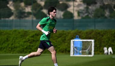 Finneran potential excites Hallgrimsson