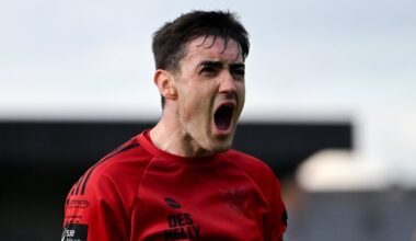 Bite more key than bark when Devoy enters Ireland den