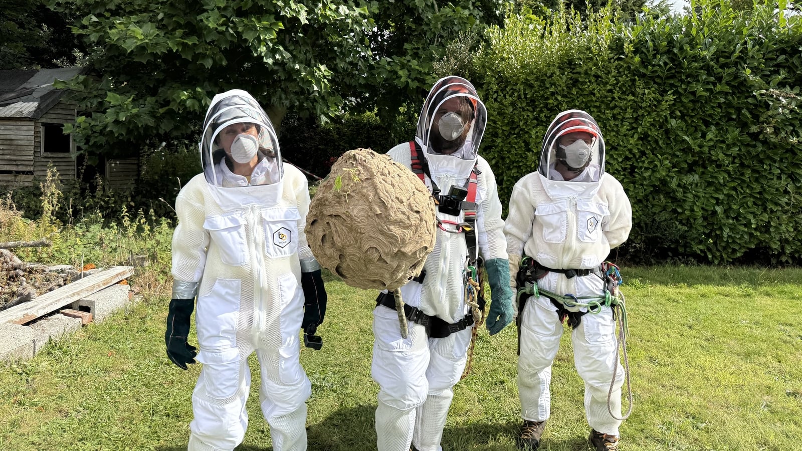 Bureau formed to manage invasive species in Ireland
