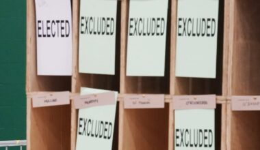 Bye-elections: 5 things to look out for as votes counted