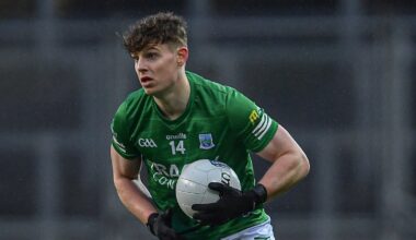 Impressive Fermanagh slay Wexford in Tailteann Cup