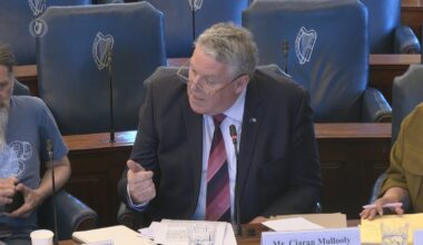 Anger in Seanad over Mullooly's Brazilian beef claims