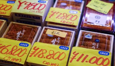 Japan's wholesale inflation spikes on energy shock, bolsters case for June rate hike