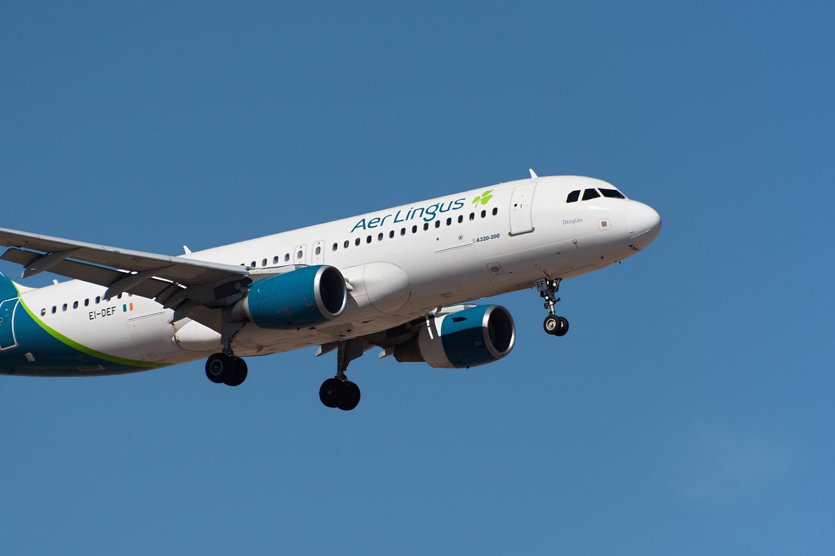 An Aer Lingus Airbus A320 (file photo)