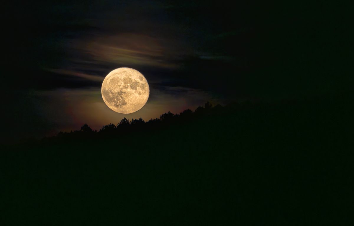 Blue Moon at 2023 summer