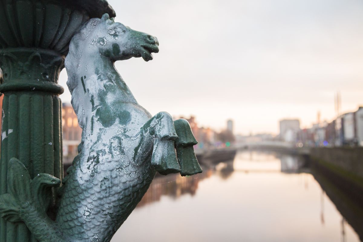 A seahorse decoration covered in frost on a morning in Dublin City.