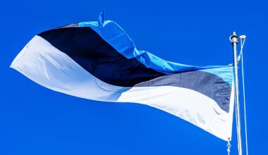 A technorealistic approach to AI literacy in Estonian schools
