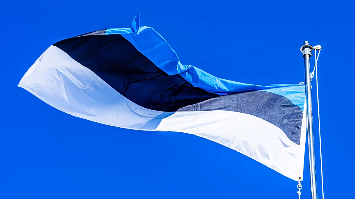 A technorealistic approach to AI literacy in Estonian schools