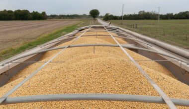 China to Buy $17 Billion in US Farm Goods, Lifting Corn, Wheat, Soybean Prices