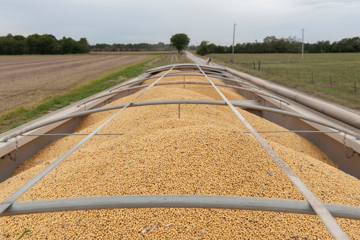 China to Buy $17 Billion in US Farm Goods, Lifting Corn, Wheat, Soybean Prices