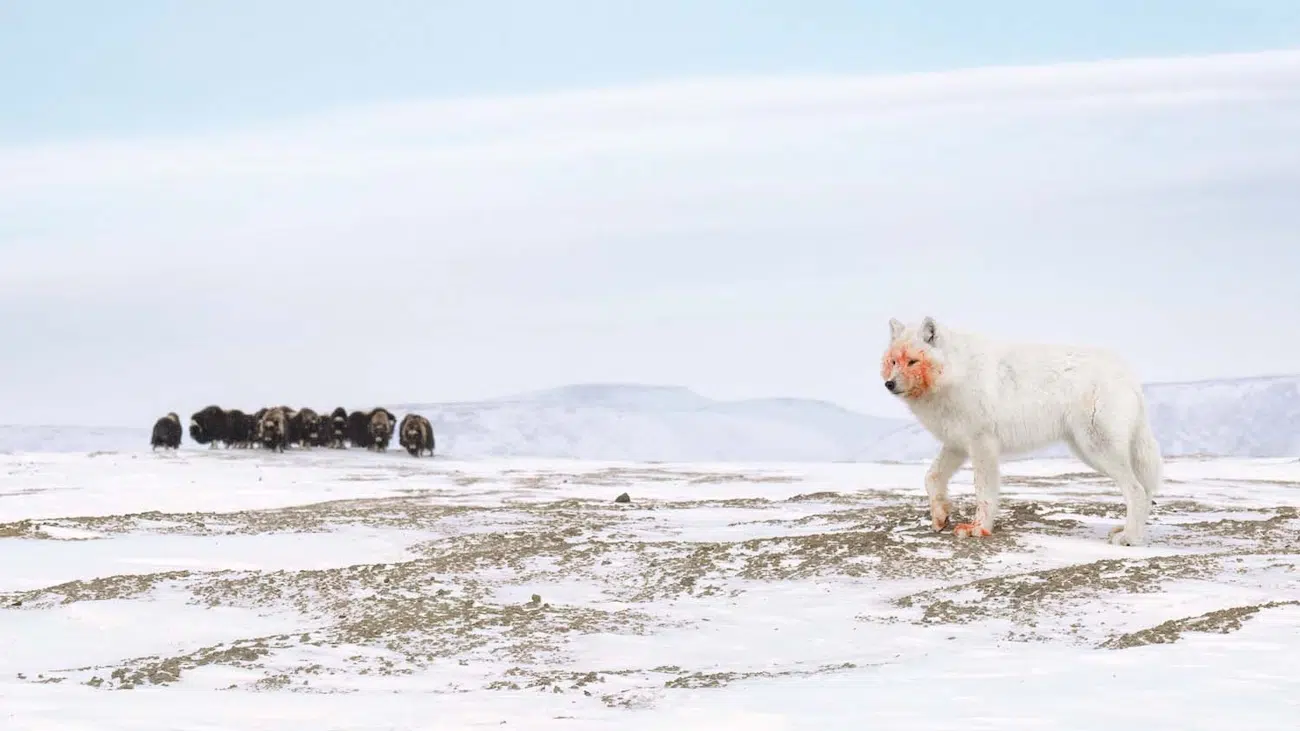 GDT Nature Photographer of the Year 2026