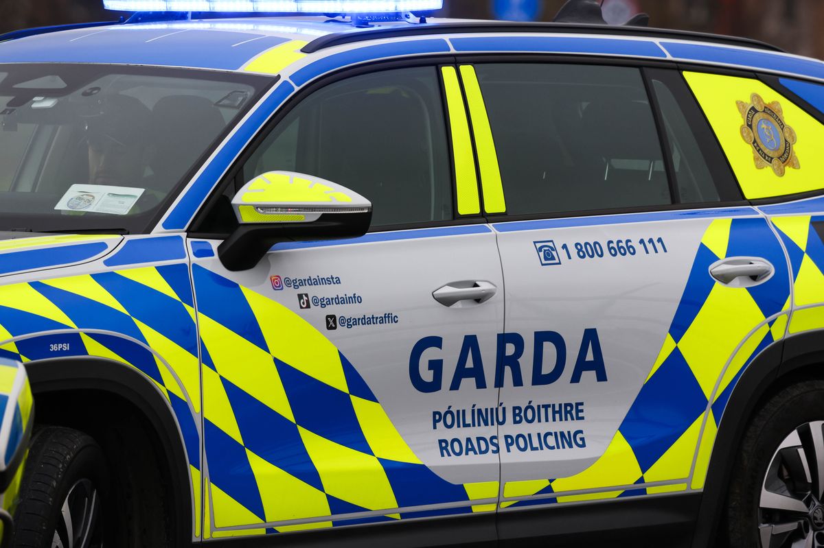 Gardai in Tipperary are appealing for witnesses to come forward.
