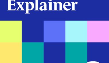 The Explainer
