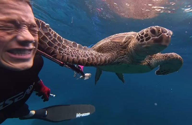 'I got slapped by a turtle': Diver shares underwater wild encounter, says 'This was getting crazy'
