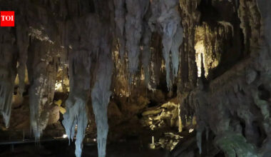 In the early 1900s, cavers in Western Australia found massive bones and unearthed Mammoth Cave, a lost world of giant fossils |