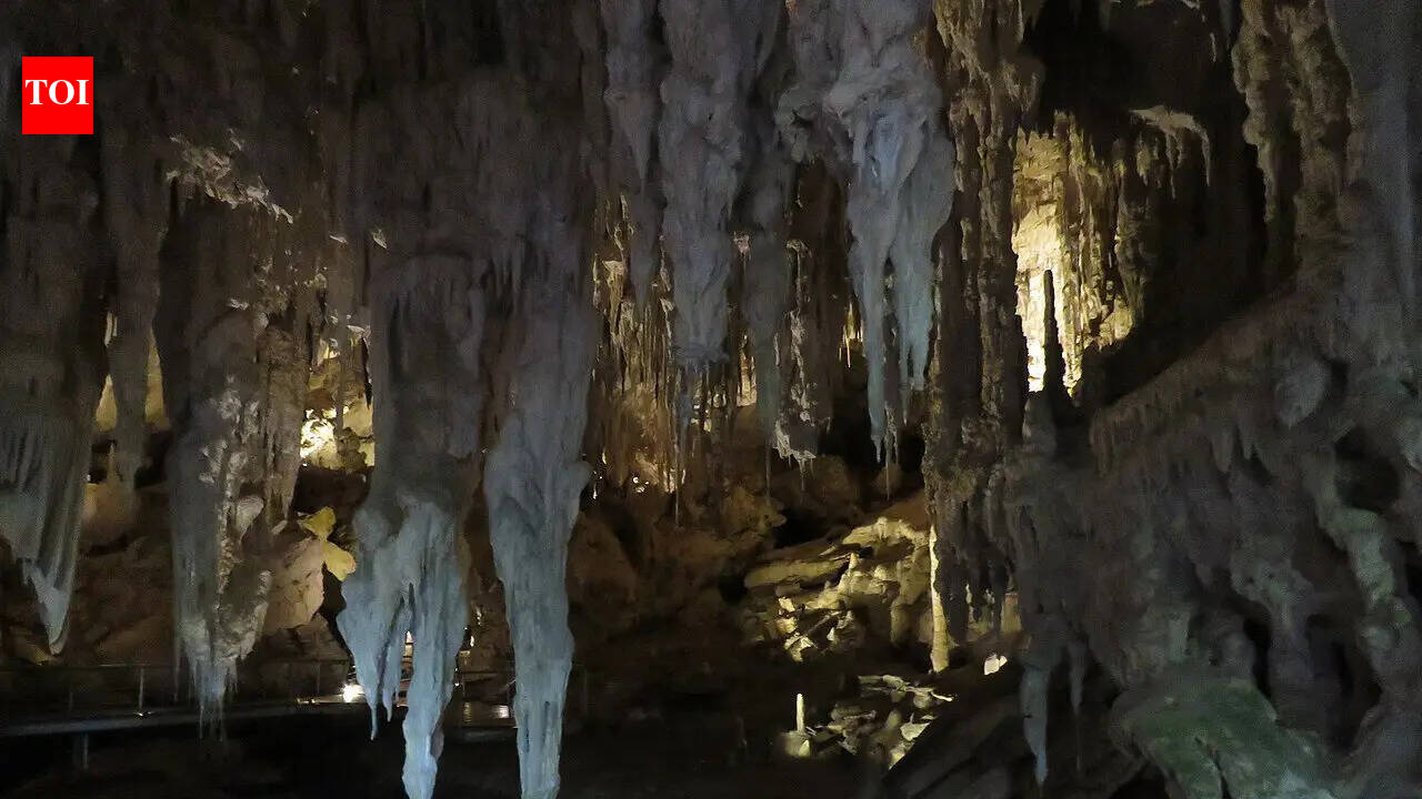 In the early 1900s, cavers in Western Australia found massive bones and unearthed Mammoth Cave, a lost world of giant fossils |