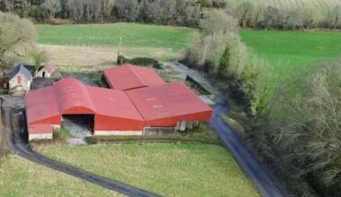 Wexford roadside holding with farmyard sells for over €2.3m at auction