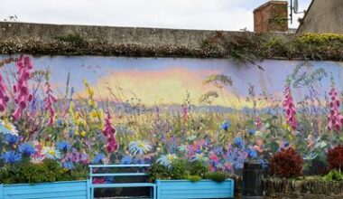 New mural painted by Wexford artist is unveiled in rural village – ‘It’s absolutely fabulous’