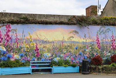 New mural painted by Wexford artist is unveiled in rural village – ‘It’s absolutely fabulous’