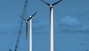 Trump Halts Construction on Onshore Wind Turbines