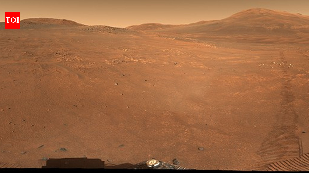 'Crocodile Bridge' on Mars: NASA’s Perseverance rover captures a mysterious ancient region on the Red Planet |