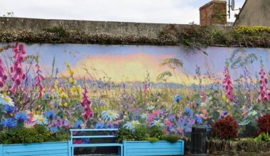 New mural painted by Wexford artist is unveiled in rural village – ‘It’s absolutely fabulous’