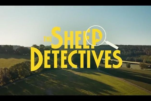 The Sheep Detectives review: A fine ewe-dunnit with a flock of all-star celebrities