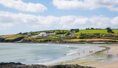 Cork Beo
