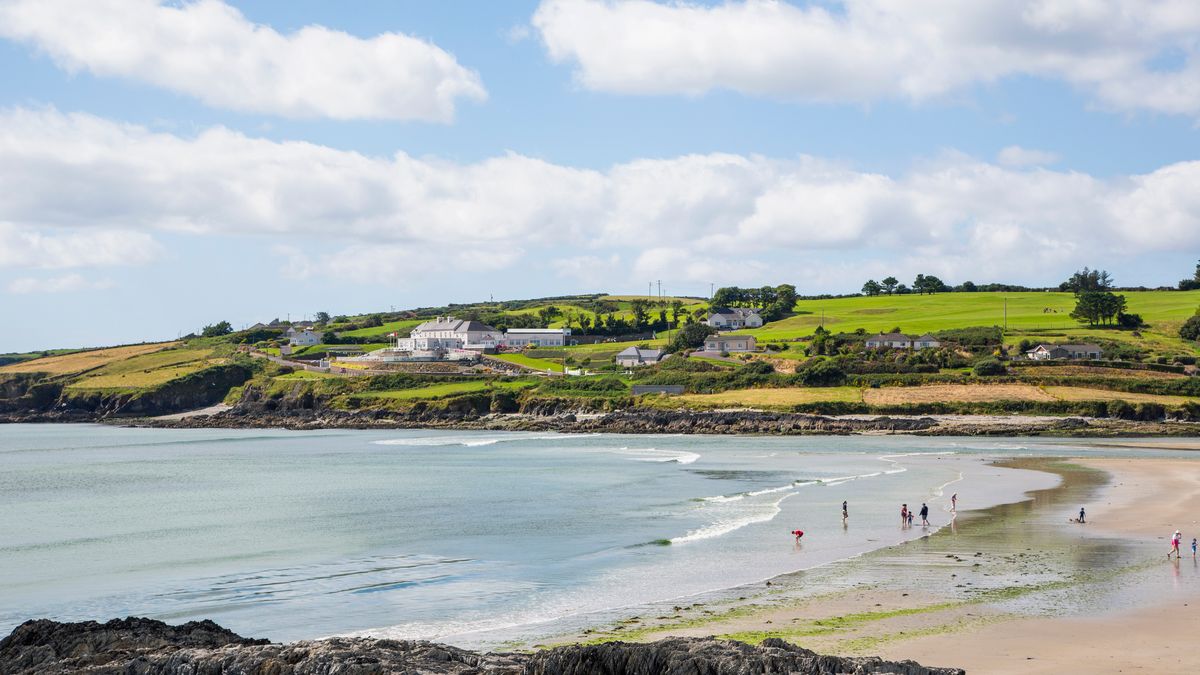 Cork Beo