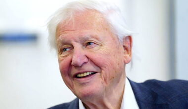 New species of wasp named after David Attenborough for his 100th birthday