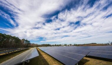 Residents appeal permission for 162-acre solar farm in Wicklow