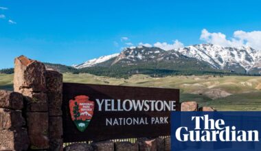 Trump administration relaxing hunting restrictions in US parks and refuges | Trump administration