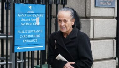 Widow of murdered Jason Hennessy Sr in High Court bid to prevent destruction of XL Bully dogs