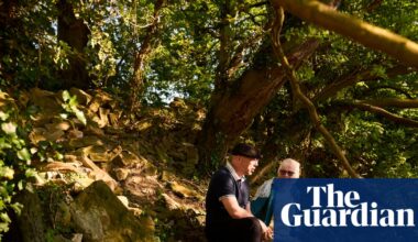 Yorkshire’s WallFest launched to protect crumbling boundary wall of ‘world’s first nature reserve’ | Conservation
